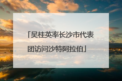 吴桂英率长沙市代表团访问沙特阿拉伯