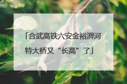 合武高铁六安金裕淠河特大桥又“长高”了
