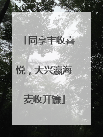 同享丰收喜悦，大兴瀛海麦收开镰