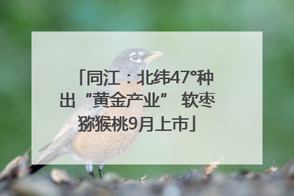 同江：北纬47°种出“黄金产业” 软枣猕猴桃9月上市