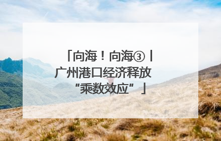 向海！向海③丨广州港口经济释放“乘数效应”