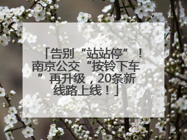 告别“站站停”！南京公交“按铃下车”再升级，20条新线路上线！