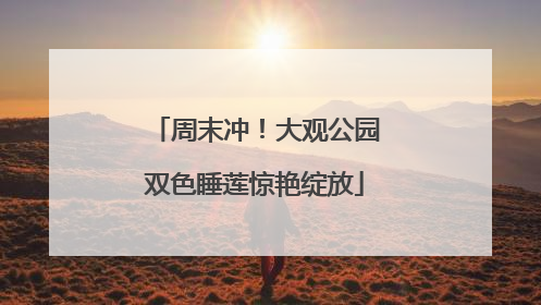 周末冲！大观公园双色睡莲惊艳绽放