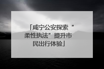 咸宁公安探索“柔性执法”提升市民出行体验