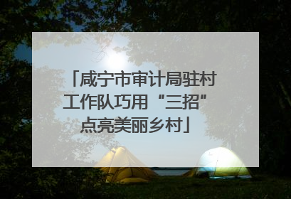 咸宁市审计局驻村工作队巧用“三招”点亮美丽乡村