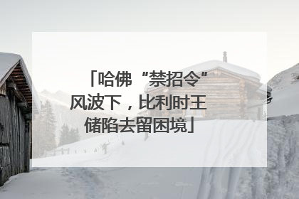 哈佛“禁招令”风波下，比利时王储陷去留困境