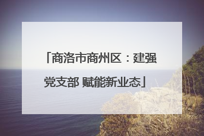 商洛市商州区：建强党支部 赋能新业态