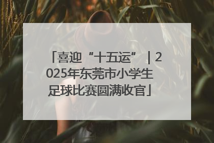 喜迎“十五运”｜2025年东莞市小学生足球比赛圆满收官
