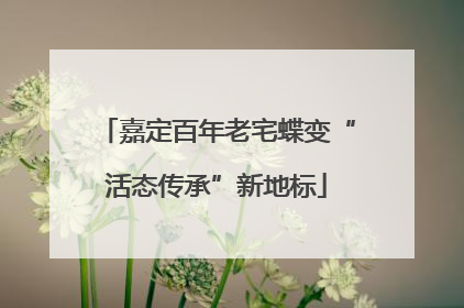 嘉定百年老宅蝶变“活态传承”新地标