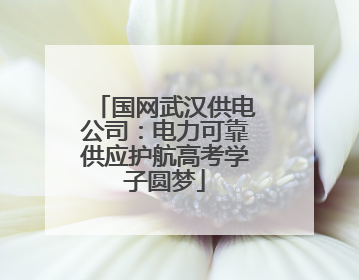 国网武汉供电公司：电力可靠供应护航高考学子圆梦