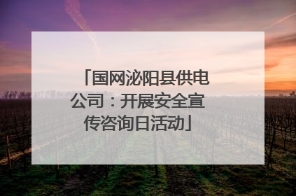 国网泌阳县供电公司：开展安全宣传咨询日活动