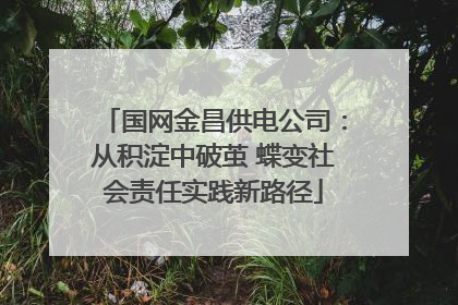 国网金昌供电公司：从积淀中破茧 蝶变社会责任实践新路径