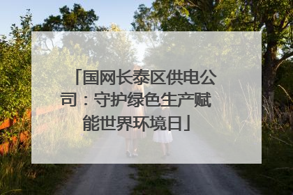 国网长泰区供电公司：守护绿色生产赋能世界环境日