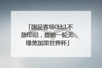 国足客场0比1不敌印尼，提前一轮无缘美加墨世界杯