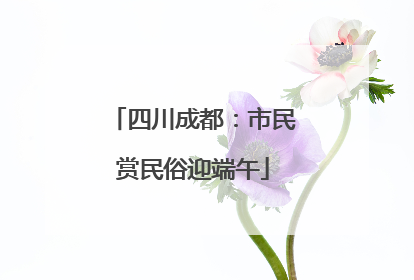 四川成都：市民赏民俗迎端午