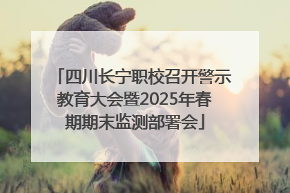 四川长宁职校召开警示教育大会暨2025年春期期末监测部署会