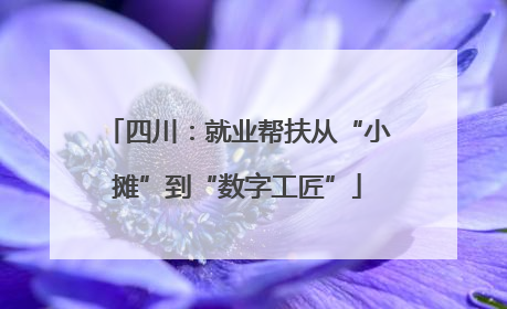 四川：就业帮扶从“小摊”到“数字工匠”