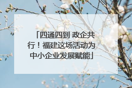 四通四到 政企共行！福建这场活动为中小企业发展赋能