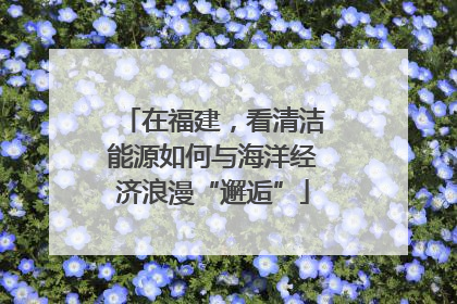 在福建，看清洁能源如何与海洋经济浪漫“邂逅”
