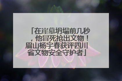 在崖墓坍塌前几秒，他冒死抢出文物！眉山杨宇春获评四川省文物安全守护者