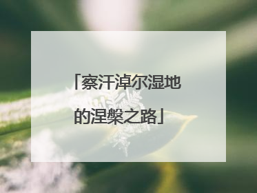 察汗淖尔湿地的涅槃之路
