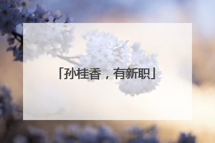 孙桂香，有新职