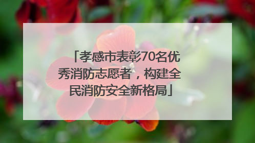 孝感市表彰70名优秀消防志愿者，构建全民消防安全新格局