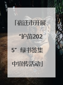 宿迁市开展“护苗2025”绿书签集中宣传活动