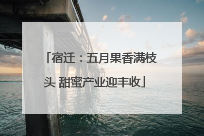 宿迁：五月果香满枝头 甜蜜产业迎丰收