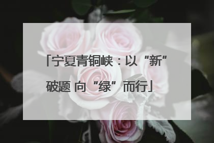 宁夏青铜峡：以“新”破题 向“绿”而行