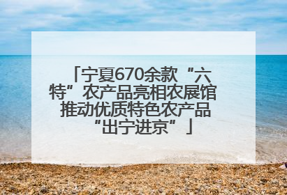 宁夏670余款“六特”农产品亮相农展馆 推动优质特色农产品“出宁进京”