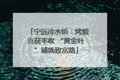 宁远冷水镇：烤烟喜获丰收 “黄金叶”铺就致富路