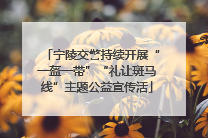 宁陵交警持续开展“一盔一带”“礼让斑马线”主题公益宣传活