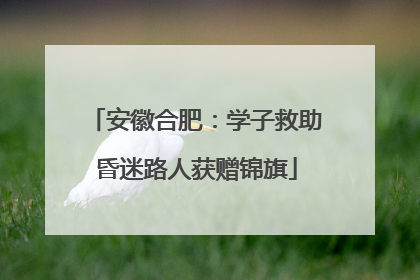 安徽合肥：学子救助昏迷路人获赠锦旗