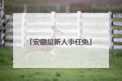 安徽最新人事任免