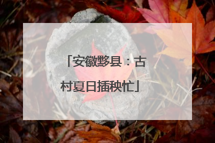 安徽黟县：古村夏日插秧忙