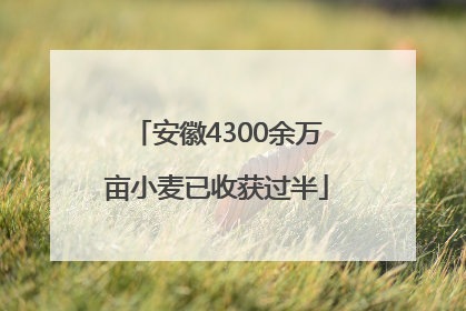 安徽4300余万亩小麦已收获过半