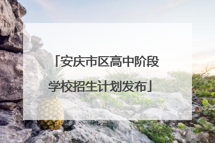 安庆市区高中阶段学校招生计划发布