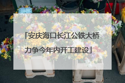 安庆海口长江公铁大桥力争今年内开工建设
