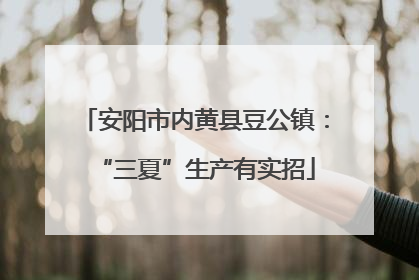 安阳市内黄县豆公镇：“三夏”生产有实招