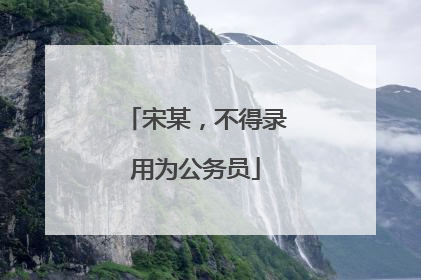 宋某，不得录用为公务员