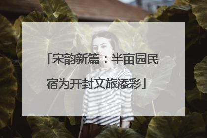 宋韵新篇：半亩园民宿为开封文旅添彩
