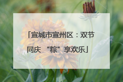 宣城市宣州区：双节同庆 “粽”享欢乐