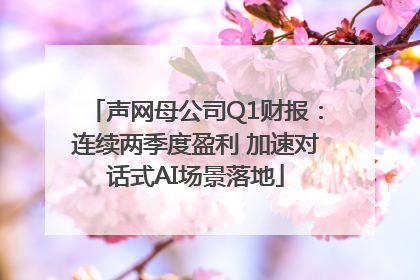 声网母公司Q1财报：连续两季度盈利 加速对话式AI场景落地