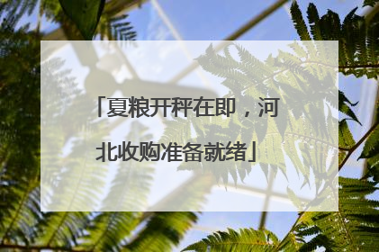 夏粮开秤在即，河北收购准备就绪