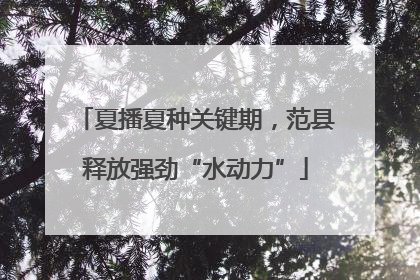夏播夏种关键期，范县释放强劲“水动力”