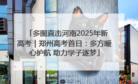多图直击河南2025年新高考｜郑州高考首日：多方暖心护航 助力学子逐梦