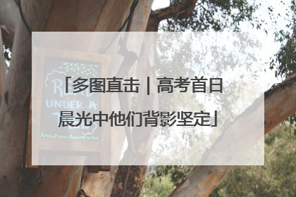 多图直击｜高考首日 晨光中他们背影坚定