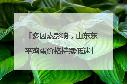 多因素影响，山东东平鸡蛋价格持续低迷