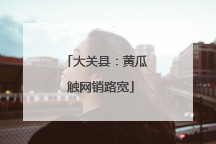 大关县：黄瓜触网销路宽